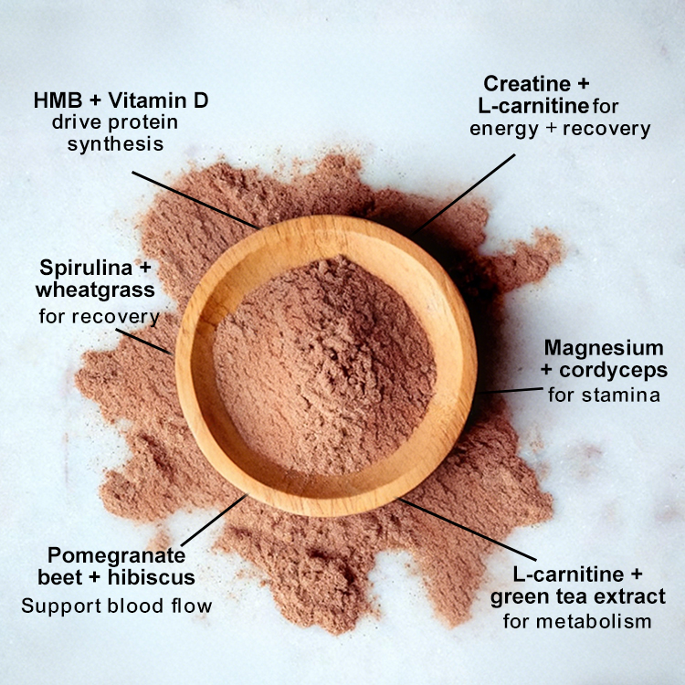 Sports Nutrition Supplement Whole Food Natural Ingredient Easy to Mix Powder Pre &amp; Post Workout Powder