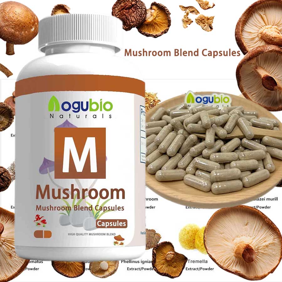 For OEM Organic Lion's Mane Reishi Chaga Turkey Tail Cordyceps Mushroom Complex Vegan 60-Capsule Blend