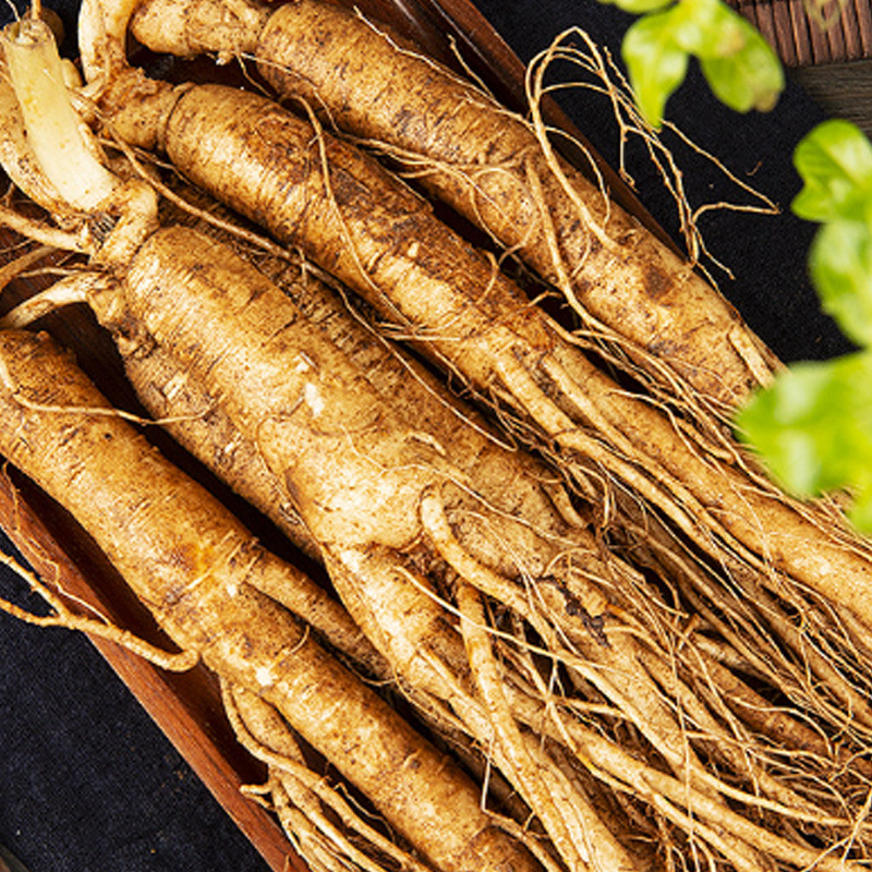 Natural Wild Ginseng Powder Botanical Raw Material