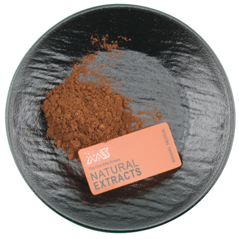 Manhay Natural Food Grade Plantago Ovata Plant Seed Herb Extract Powder Plantago Seed Extract