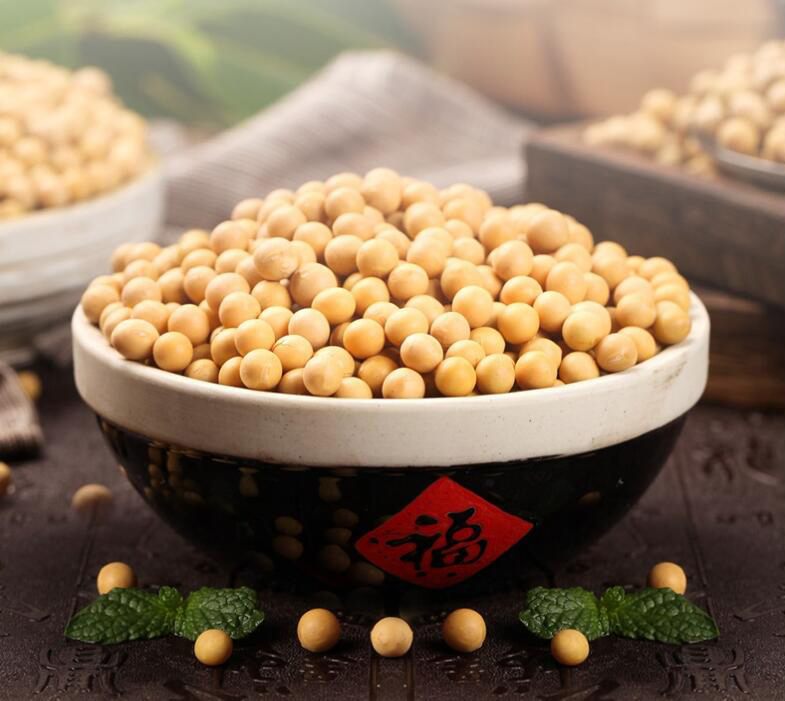 Food Ingredient /Soy Hvp for Sauce Hydrolyzed Vegetable Protein