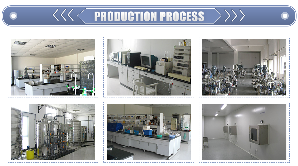 Extraction Process Flowchart