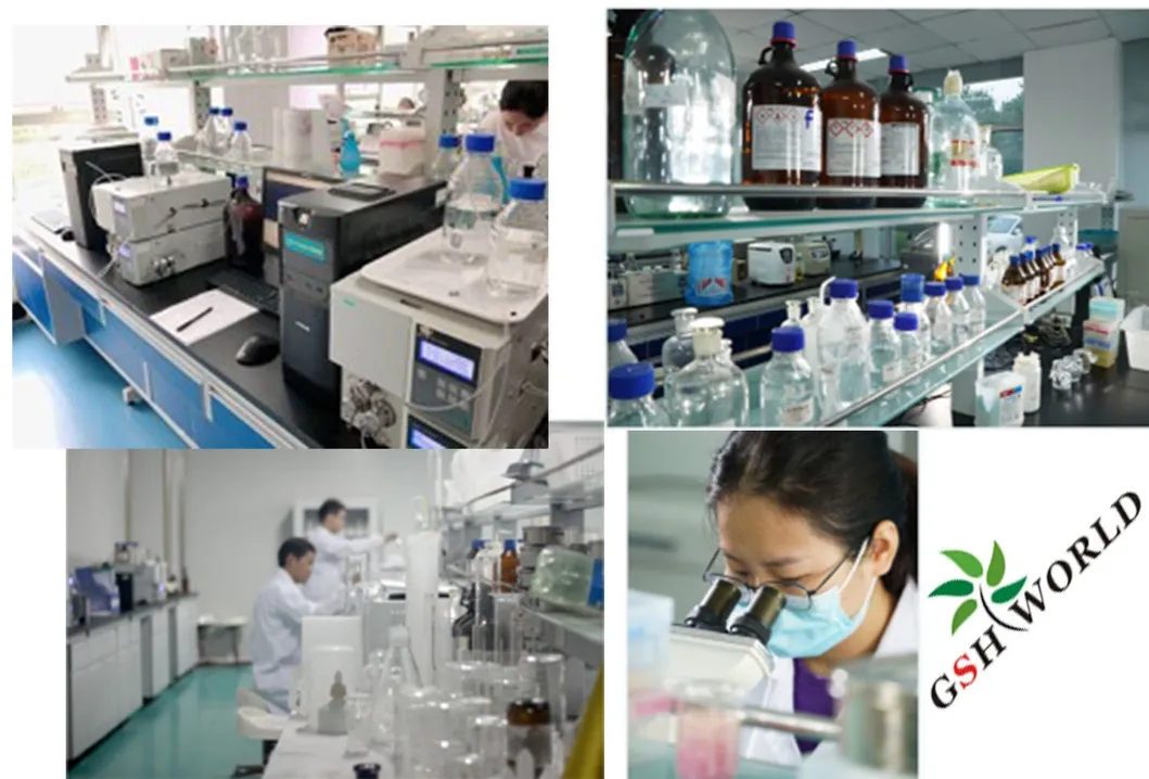 R&D Lab Center
