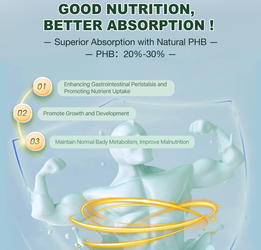 Fermented Protein Powder Model Scp a | Functional Protein Ingredient Bulk Supply From China