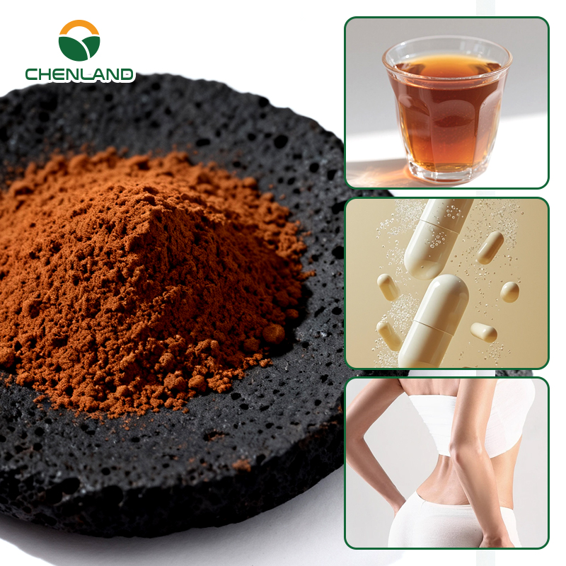 Health Supplement Slimming Ingredients For Adult with Kuding Tea Extract Support Weight Loss Promote Healthy Metabolism Capsules
