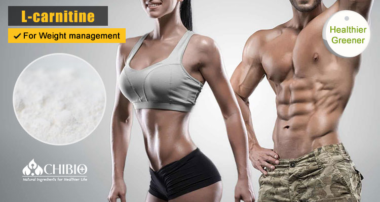L-Carnitine Powder Product Banner