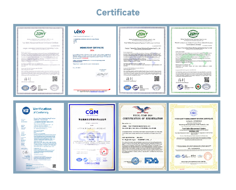 Certification Badges