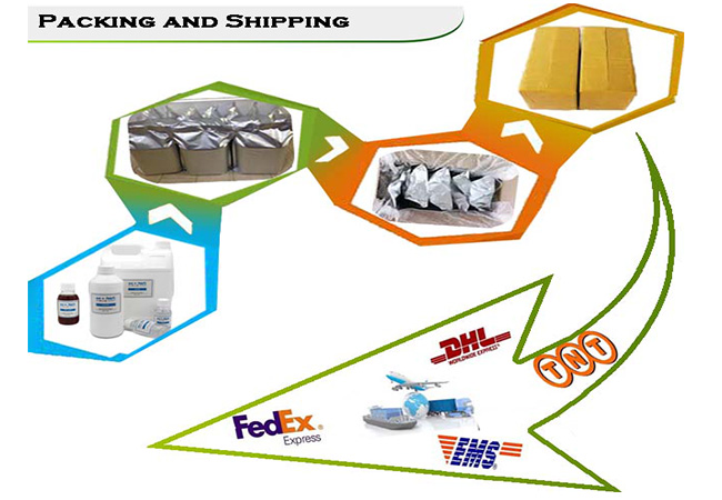 Order Process