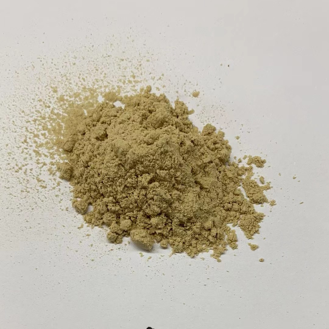 Bacillus Coagulans Food Grade Probiotic Powder Ingredients CAS 68038-65-3 China Origin