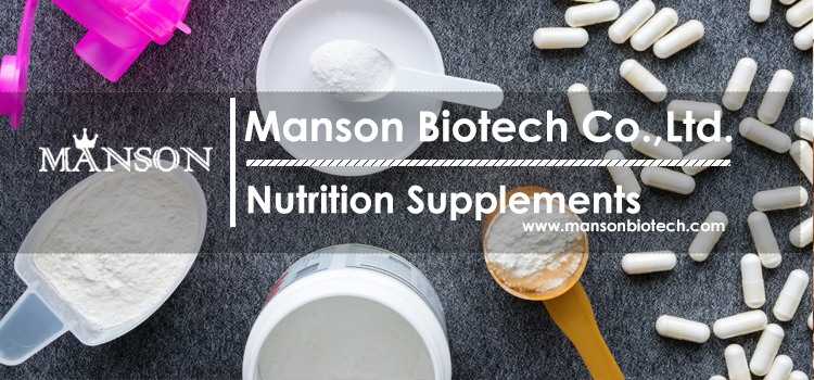 Whey Protein Banner