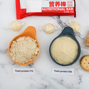 Wholesale Yeast Protein Powder 70-80% High Purity BCAA Rich For Food &amp; Beverage Fortification