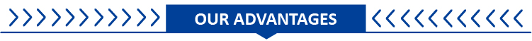 Our Advantages Graphic