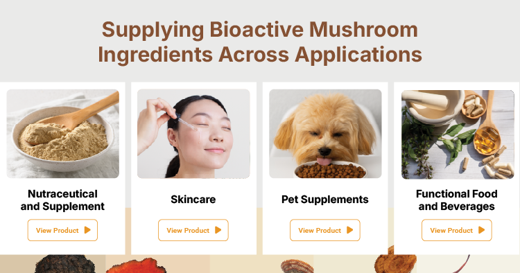 Applications Overview