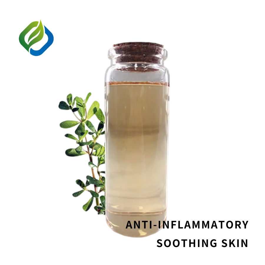 Portulaca Oleracea Extract Natural Chinese Herbal Extract Skincare Ingredients