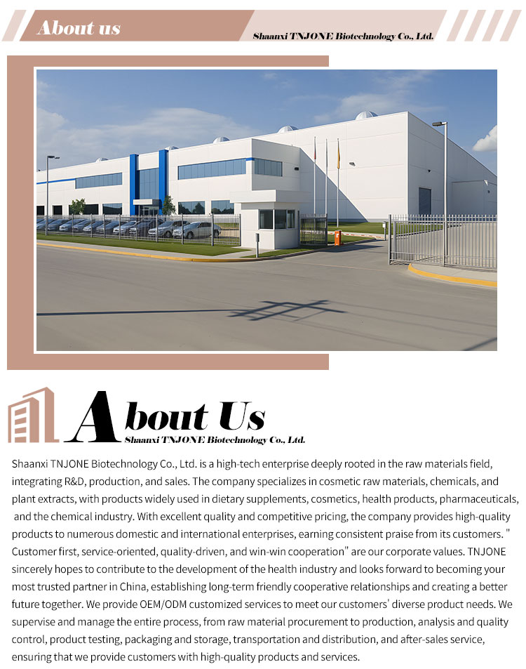Shipping And Delivery Logistics