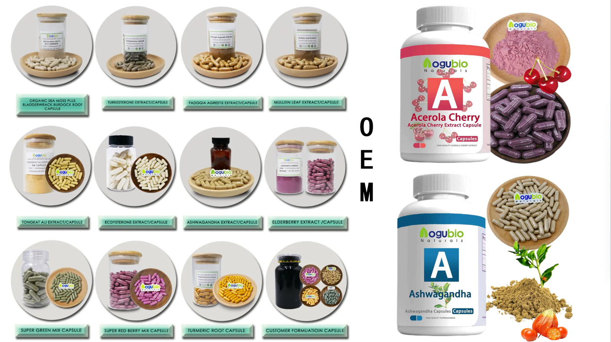 Reishi Mushroom Powder Capsules