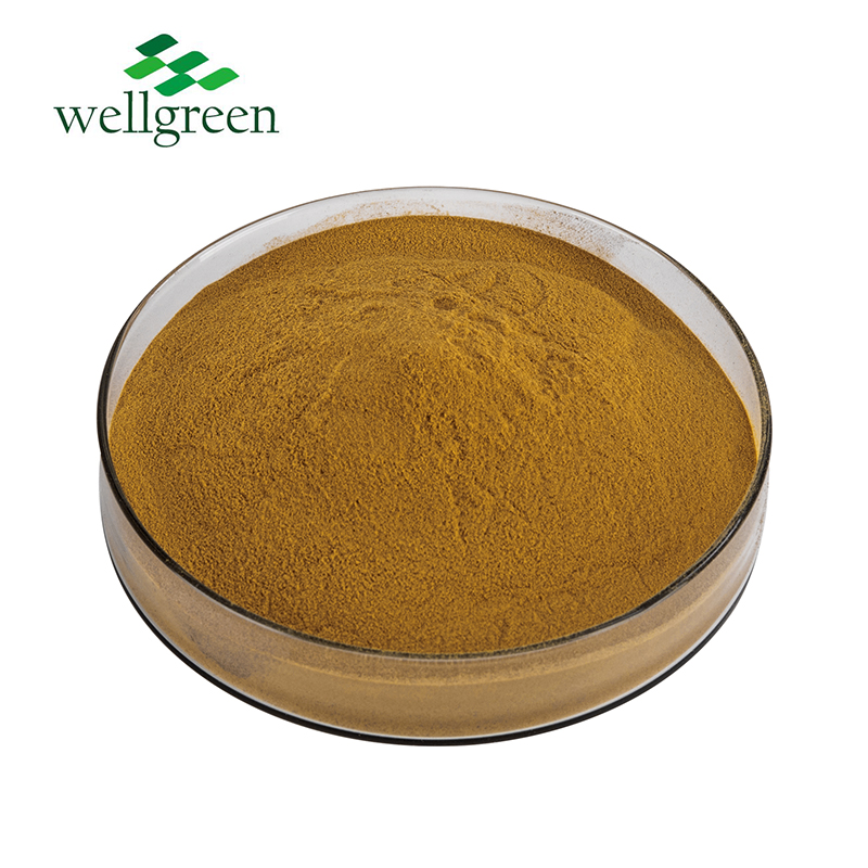 Bulk Notoginseng Extract Powder Top Grade Natural Pseudo-ginseng Herbal Ingredients OEM Supply