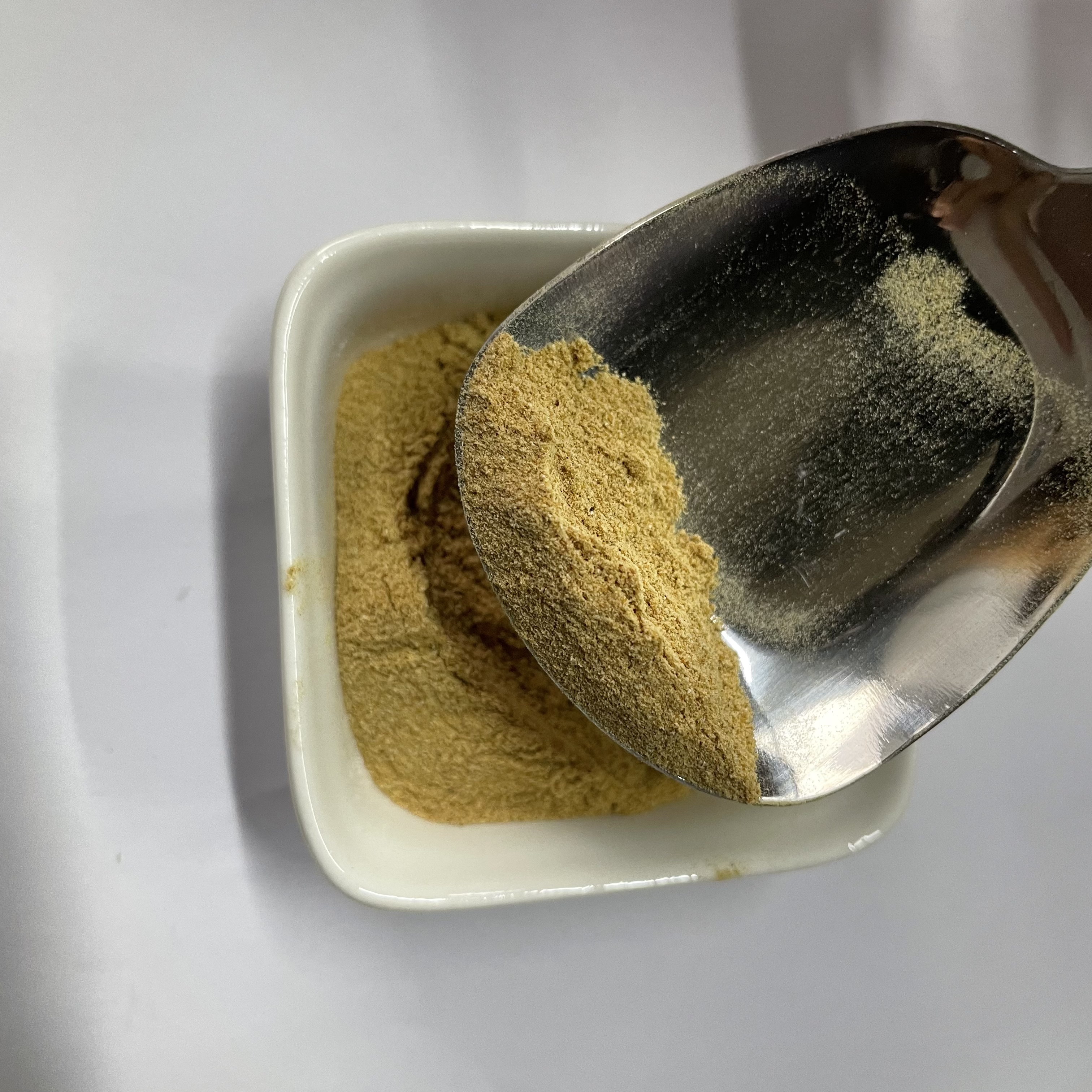 Bacillus Coagulans Food Grade Probiotic Powder Ingredients CAS 68038-65-3 China Origin