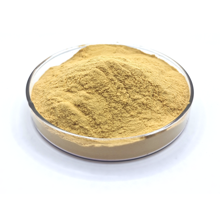 Wholesale Ingredients Flavor Fiber Nutrient Grade Bulk Food Grade Nutrition Fermentation Beer Yeast Extract