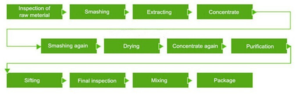 Production Flow Diagram