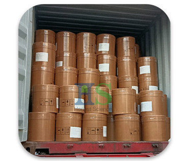Bulk cargo container