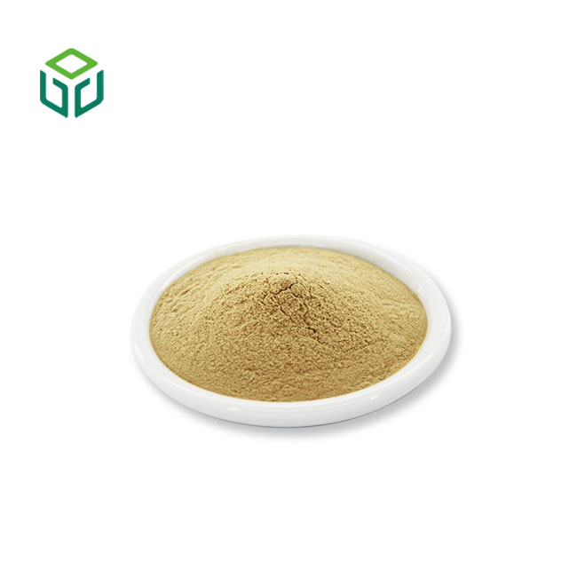 Factory Wholesale Health Supplement Food Ingredients Organic Sunflower/Soy Lecithin Powder