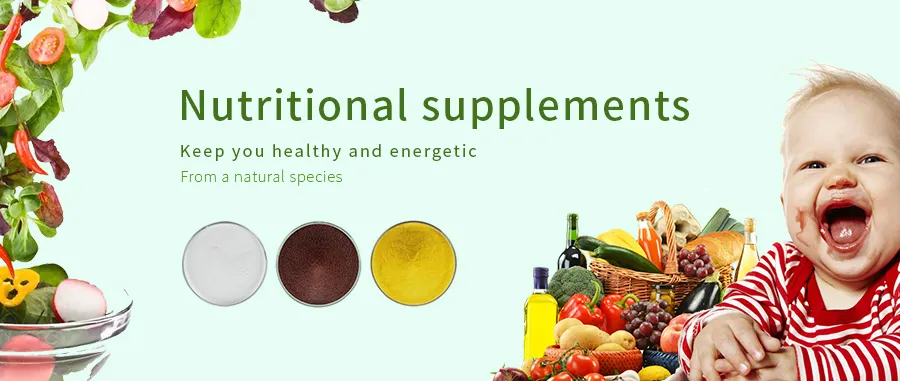 Hot Sales Factory Price Food Ingredients Soy Protein Isolate Suppliers