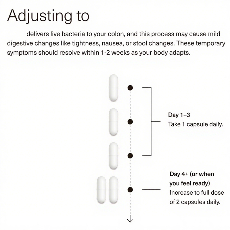OEM Healthy Dietary Supplements Gut Supplement Capsules Probiotic Capsules 30 Day Dosage
