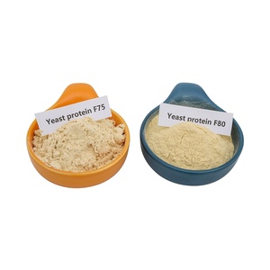Wholesale Best Price Food Grade Yeast Protein Isolate Powder High Quality Thickeners
