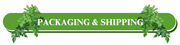 Packaging & Shipping