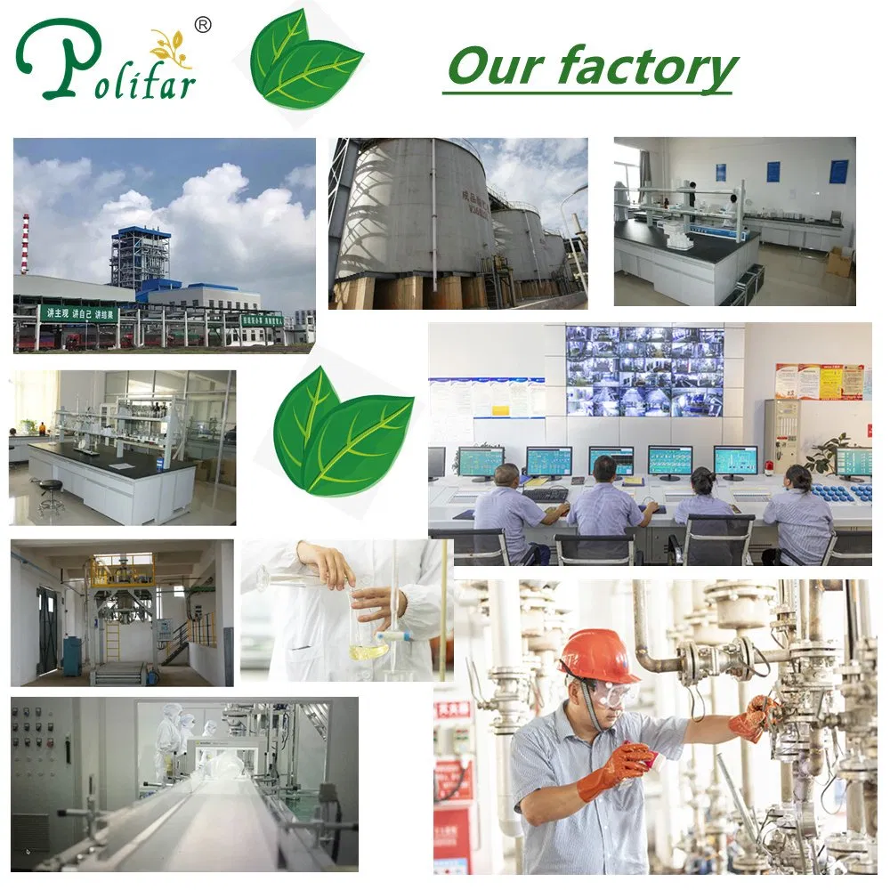 High Quality Food Ingredient Vitamin B1 Thiamine for Food and Beverage