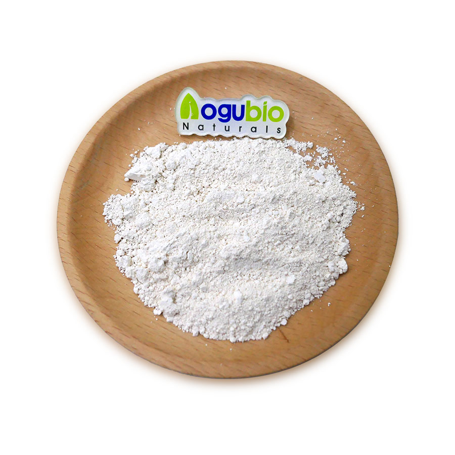 Bacillus Coagulans Food Ingredients From China Freeze-dried Probiotics Powder Original Manufacturer