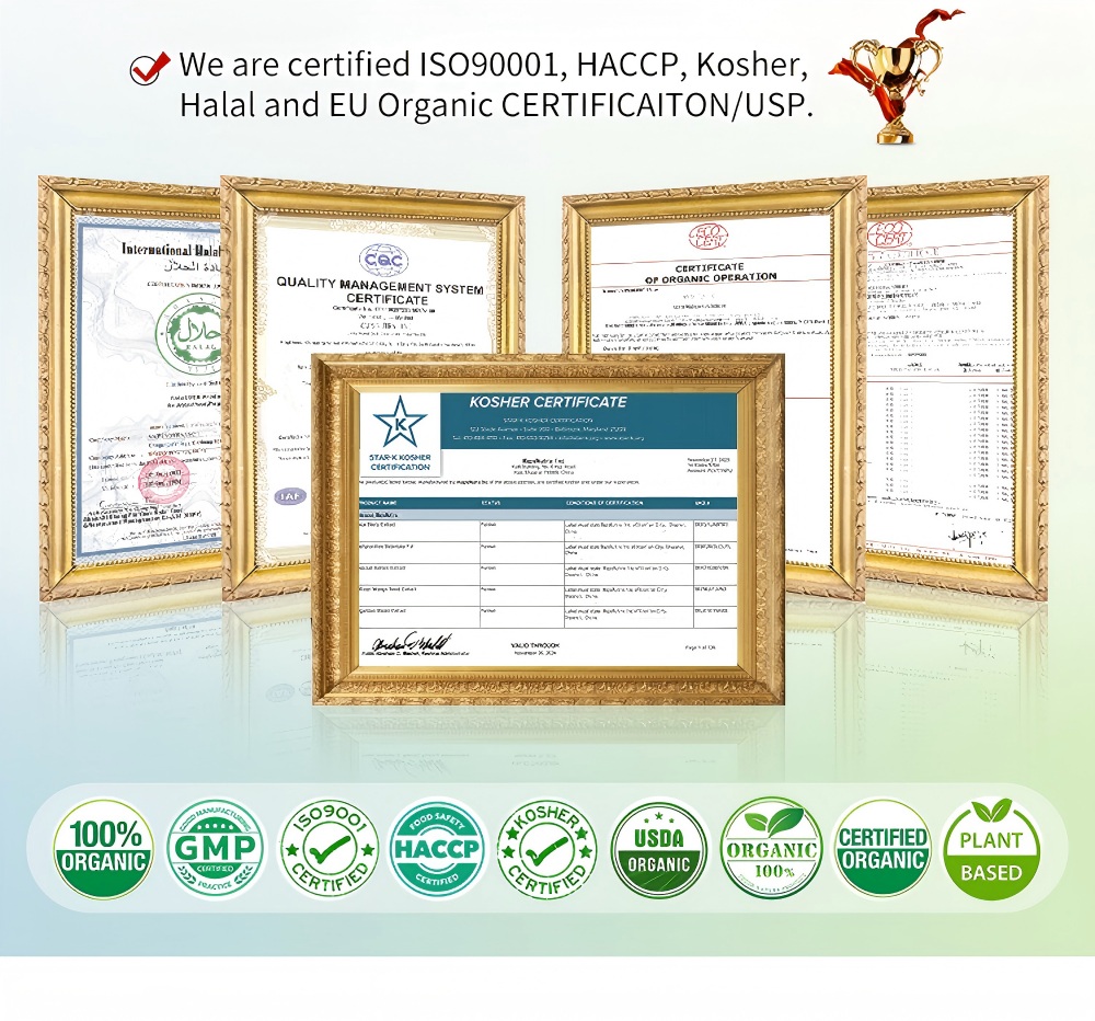 Supply Food Grade Amino Acid CAS NO. 63-91-2 99% L-Phenylalanine Powder