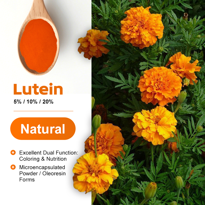 AMULYN Marigold Extract Lutein Powder Lutein Microcapsule Powder 5% Water Soluble Lutein Ester Microcapsule Powder