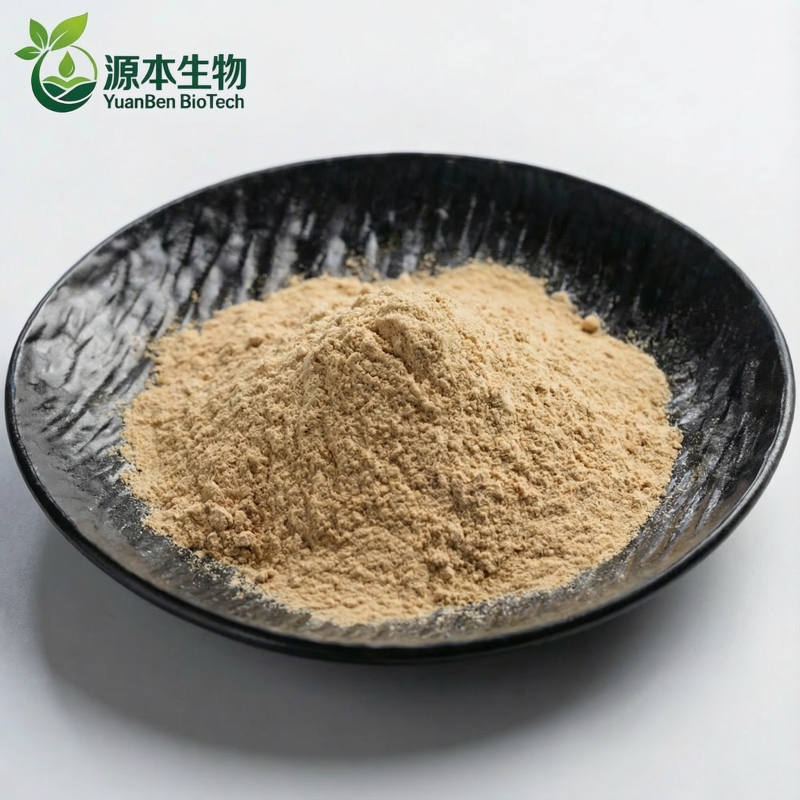 China-Herb Pure Ghana Seed Extract Powder Natural Plant Ingredient for Nutraceutical &amp; Functional Food Formulations