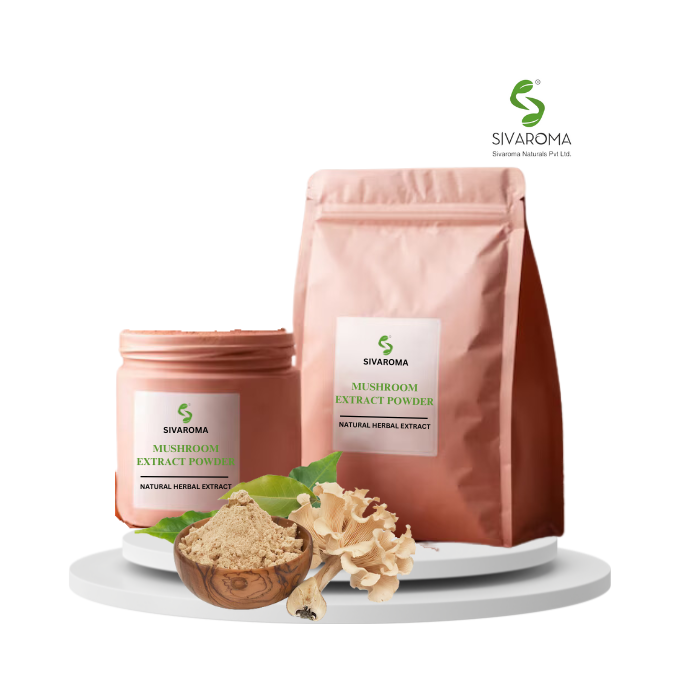Industrial Supply of Flavorful Wild-Cultivated Mushroom Extract Powder for Tea Blends and Functional Foods