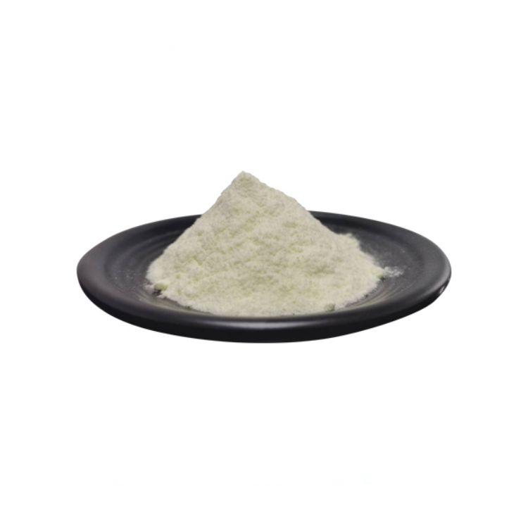 Lactobacillus Helveticus Food Ingredients From China Freeze-dried Probiotics Powder