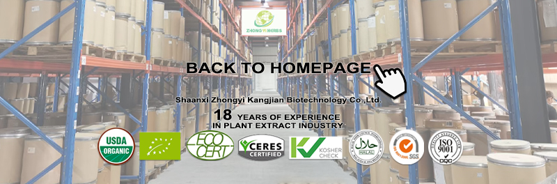Footer Banner Banner