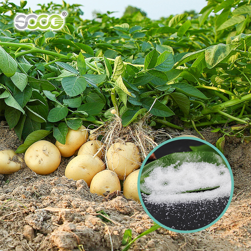 16 Years Service Life Free Sample Sodium Polyacrylate Polymer In Chemicals Potassium Polyacrylate Super Absorbent Polymer SAP