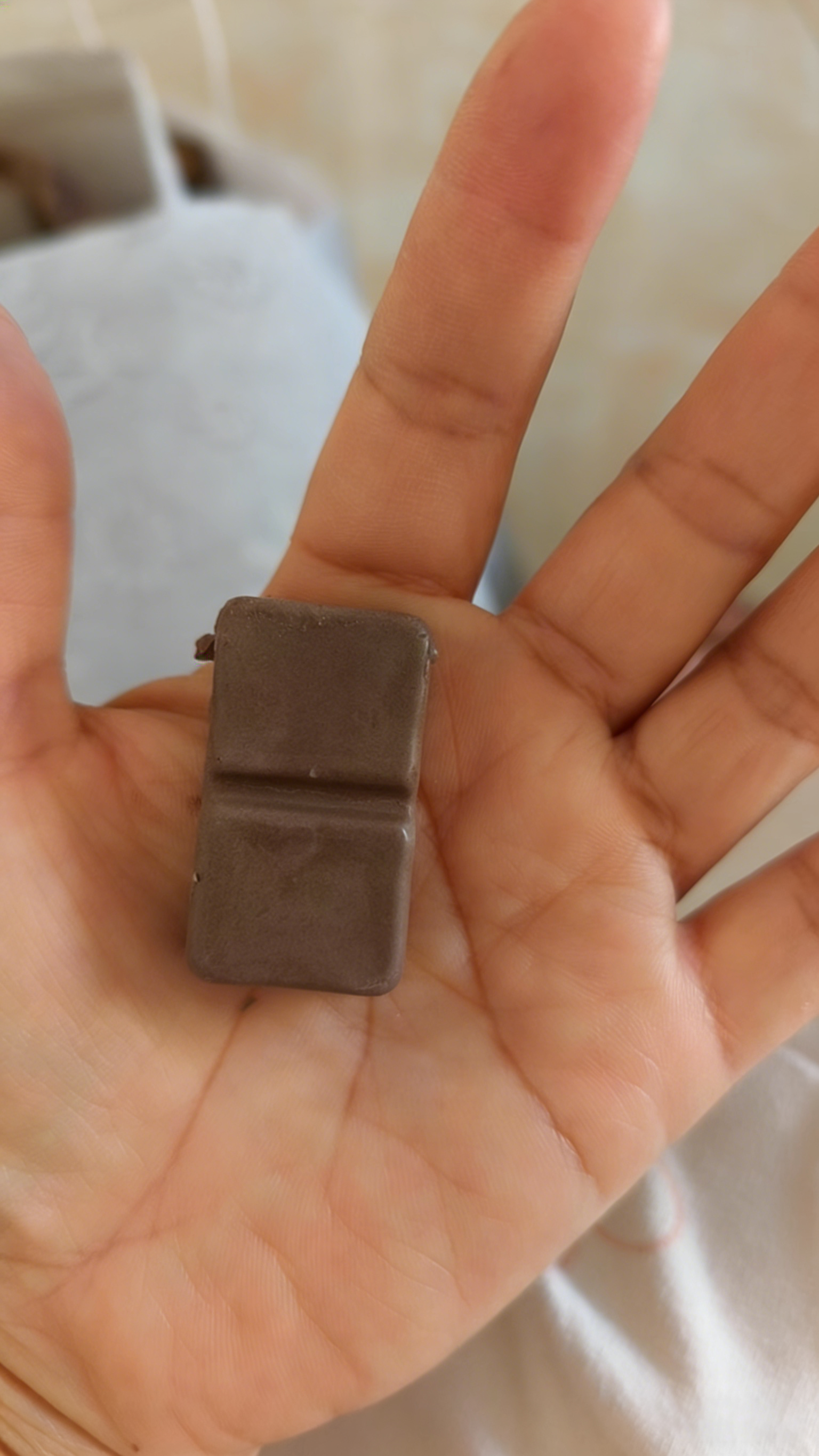 Best-Selling Probiotic Chocolate Natural Ingredients for Effortless Weight Management and Immune Support for Adults
