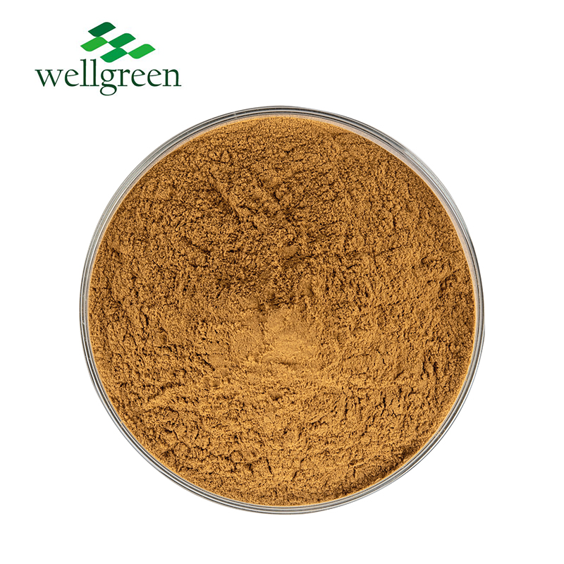 Wellgreen Dandellion Root Powder Plant Roots Herba Taraxaci P.E Dandelion Extract