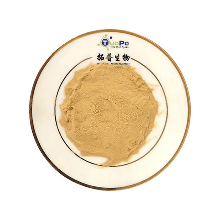 Wholesale Ingredients Flavor Fiber Nutrient Grade Bulk Food Grade Nutrition Fermentation Beer Yeast Extract