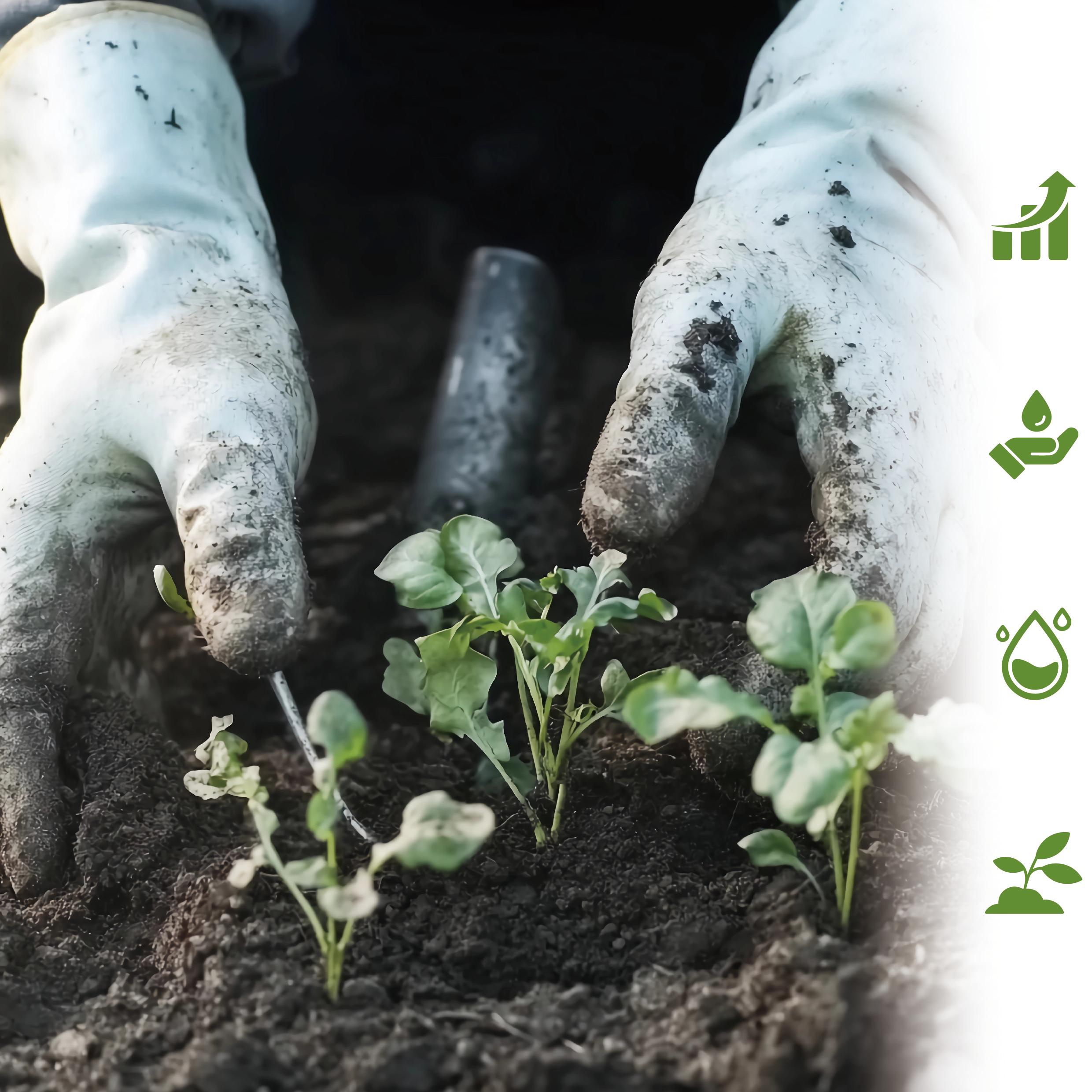 Crop Yield Improvement