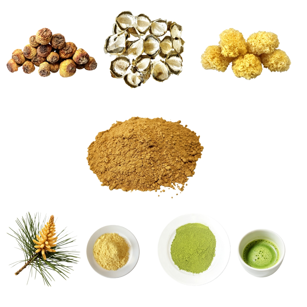 Health Drink 5 In 1 Blend Powder Mushroom Extract Matcha &amp; Pine Pollen