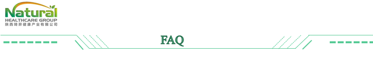 Lactobacillus Paracasei for Food Ingredients From China Factory Freeze-dried Probiotics Powder Original Manufacturer