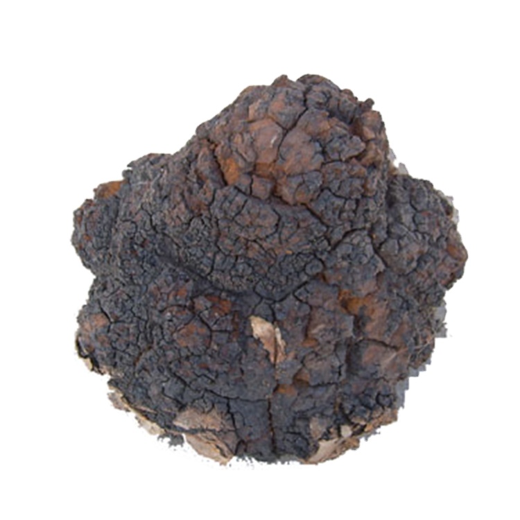 6 in 1 Superfood Mushroom Extract Blend Powder Organic Mushroom Powder Extract