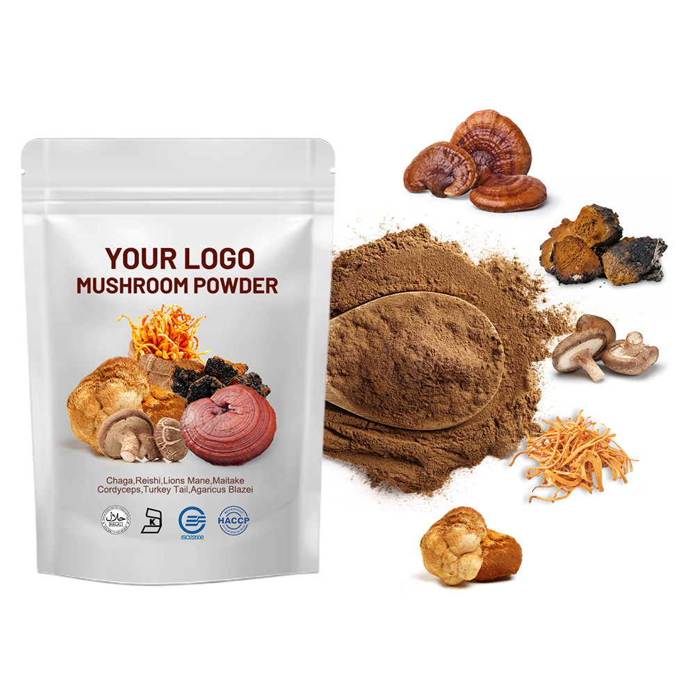 High Quality Herbal Mushroom Extract Powder OEM Wholesale Price Lions Mane Reishi Chaga Wuling Whole Fruit Body
