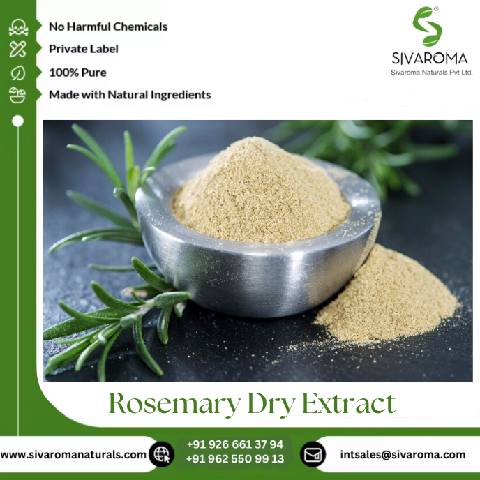 Natural Wild Rosemary Herbal Dry Extract Powder (100% Pure) Solvent Extracted Grade a for Flavoring Seasoning Culinary Cosmetic
