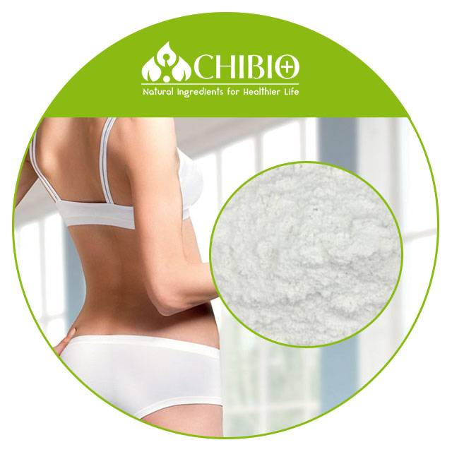 Non-toxic Hot Sale 97%-103% L- Carnitine Powder Pure Ingredients for Weight Management