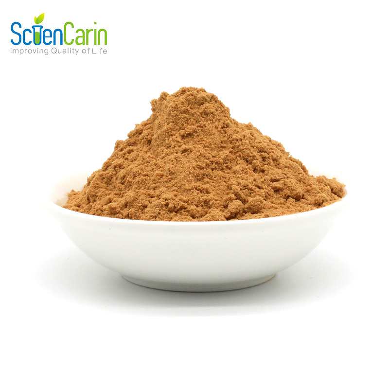 ISO Approved Natural Botanical Supplement Ingredient Atractylodes Chinensis Extract Powder
